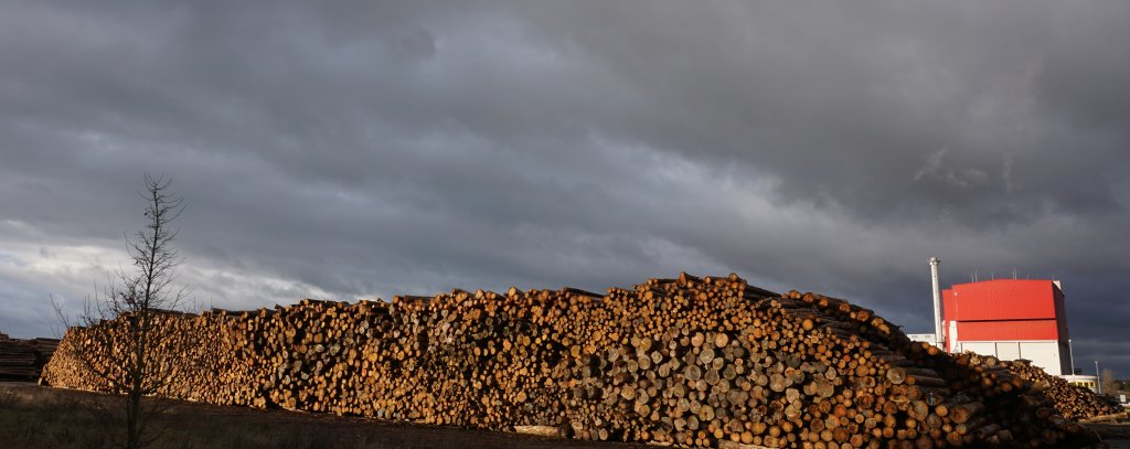 Ein sehr großer Holzpolter