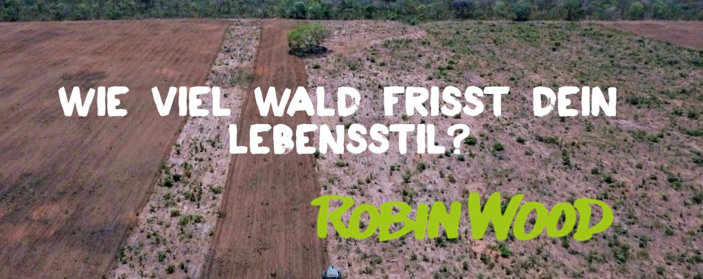 Entwaldungen für Soja in Brasilien