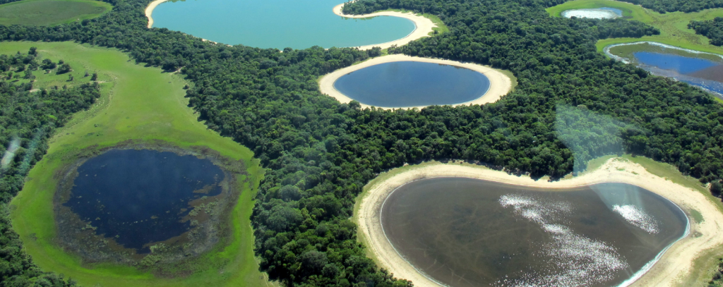 Lucas Leuzinger / Shutterstock via #together4forests Luftbildaufnahme des Pantanal, Brasilien - größtes Feuchtgebiet der Erde und eines der artenreichsten Biotope