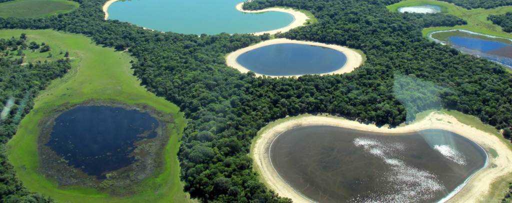 Luftbildaufnahme des Pantanal, Brasilien - größtes Feuchtgebiet der Erde und eines der artenreichsten Biotope