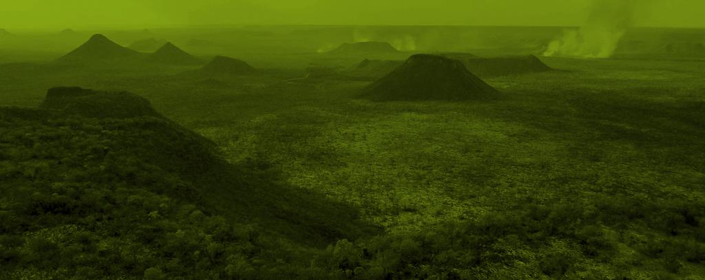 Jim Wickens/ Ecostorm via Mighty Earth