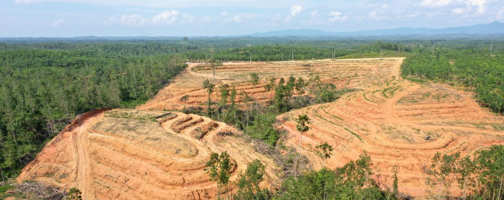 Land development within RLU Project, February 2019