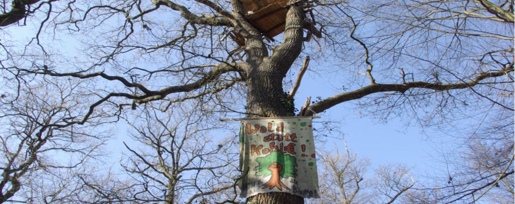 www.flickr.com/photos/hambacherforst
