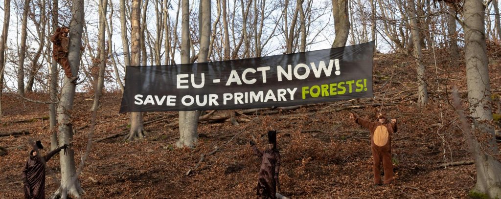 Protestaktion für den Schutz der rumänischen Karpaten (Foto: Moritz Heck / ROBIN WOOD) Menschen in Bären- und Baumkostümen vor einem Banner "EU - Act now! Save our Primary Forests!"