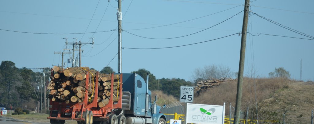 Holztransporter fährt aufs Werksgelände von Enviva, dem weltgrößten Pelletproduzenten, der auch in die Niederlande liefert (Foto: Dogwood Alliance) Die Dogwood Alliance hat Holzlieferungen von Clearcuts bis in ein Pelletwerk von Enviva verfolgt. Hier fährt einer der mit Baumstämmen beladener LKW auf das Werksgelände der Firma Enviva, dem weltgrößten Pelletproduzenten.