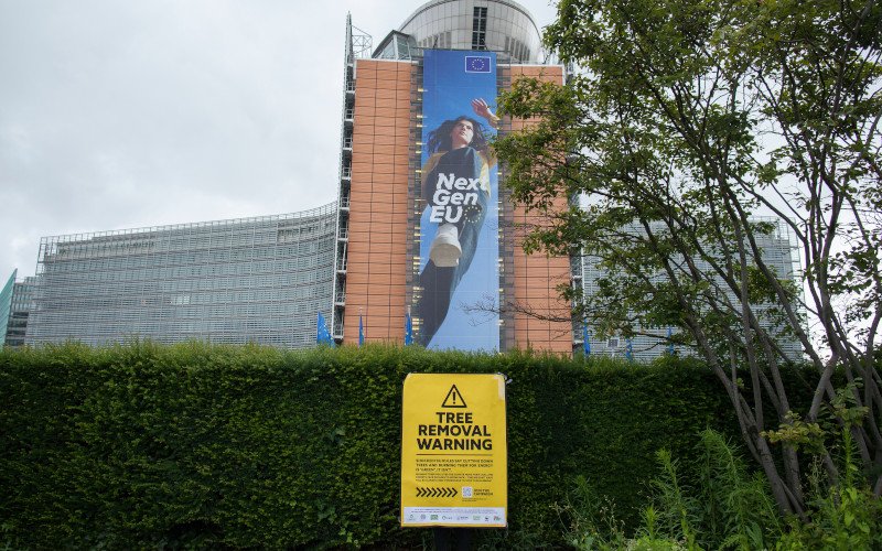 Forest Defender Alliance