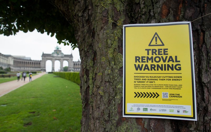 Forest Defender Alliance