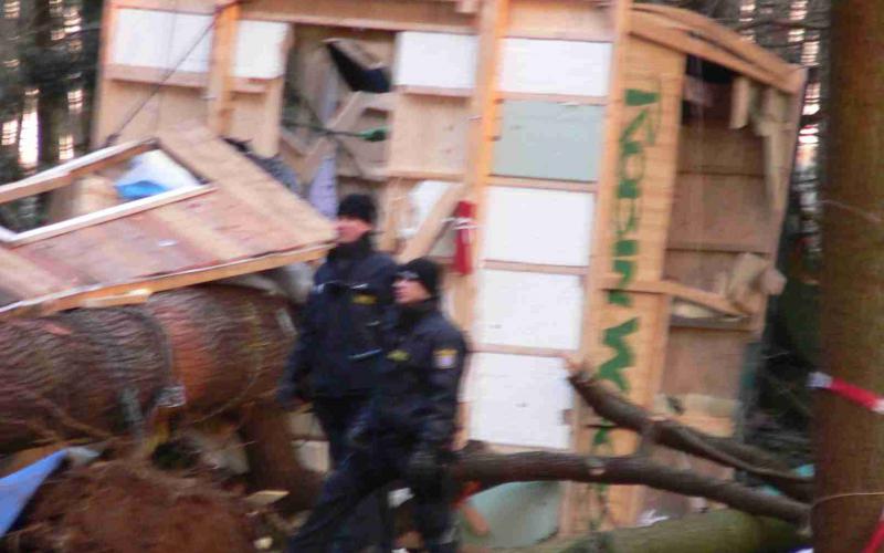 Kelsterbacher Stadtwald 18.2.2009