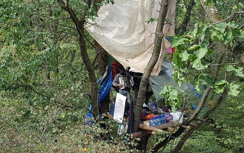 Baumhaus im Hambacher Wald (Foto: ROBIN WOOD)
