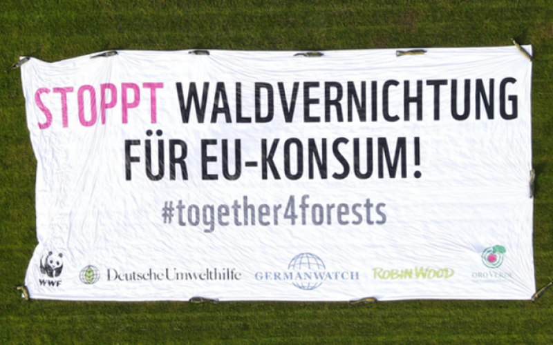 Transpi auf Fußballfeld Stopp Waldvernichtung für EU-Konsum