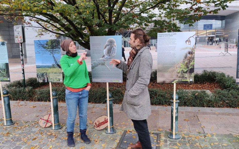 Jana Ballenthien Zwei Person im Gespräch vor einer Posterausstellung, die vor dem EU Parlament aufgebaut ist.