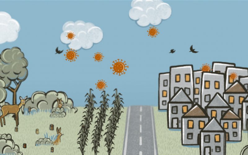 Video Auszug 4 Video Auszug 3