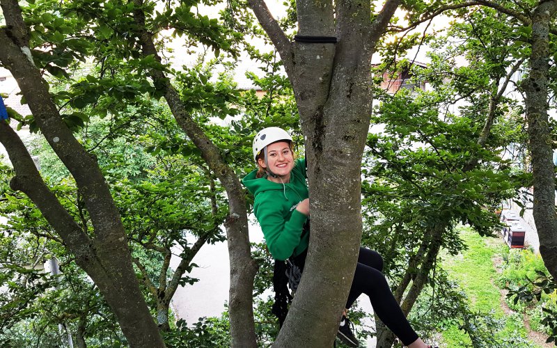 Foto Klettertraining im Baum