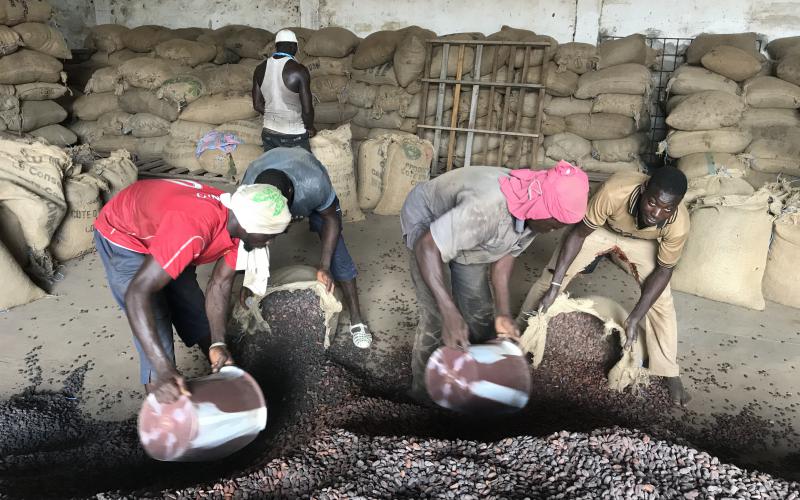 (Foto: Mighty Earth)