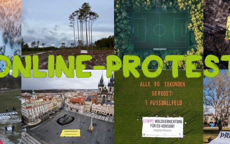 Transpi auf Fußballfeld Stopp Waldvernichtung für EU-Konsum