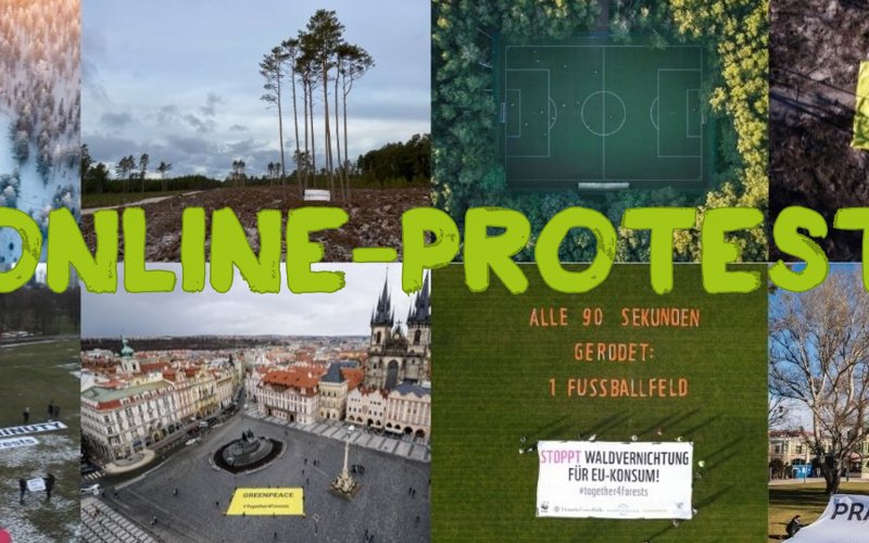 Transpi auf Fußballfeld Stopp Waldvernichtung für EU-Konsum