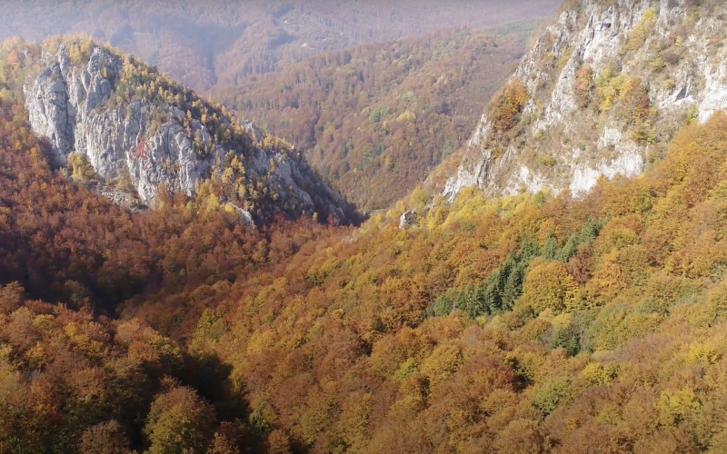 Drohnenbild über herbstlichen Karpaten