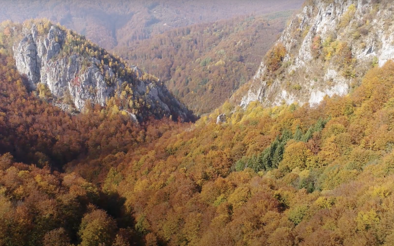 Drone image over autumnal Carpathians.