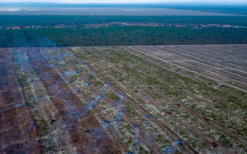 Jim Wickens/ Mighty Earth