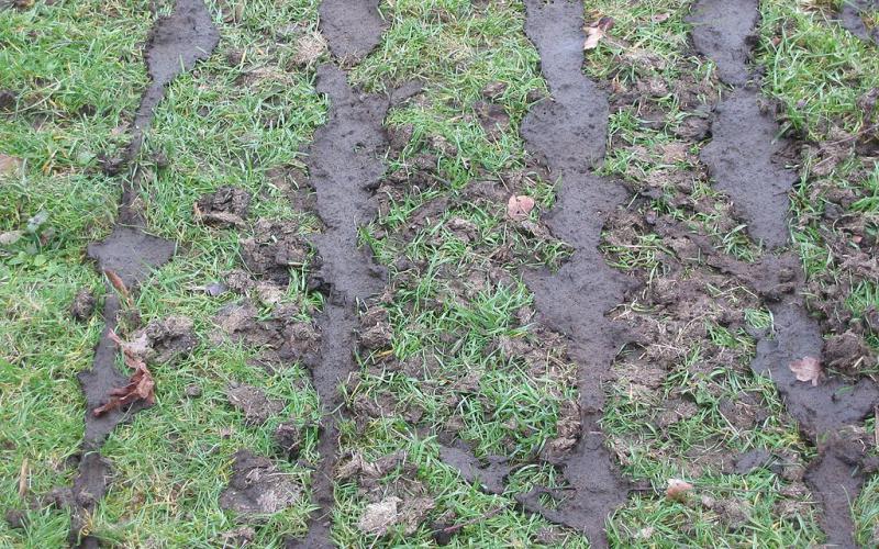 Foto: Rasbak-CC BY-SA 3.0