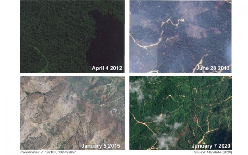 Close of transition from forest to rubber inside LAJ4 WCA