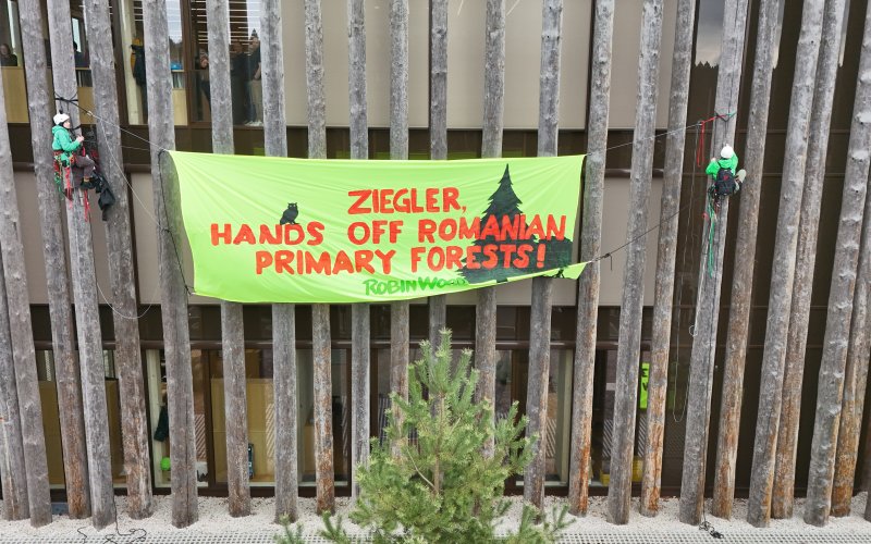 Aktivist*innen sind an der Fassade des Unternehmens einige Meter in die Höhe geklettert und haben das Banner mit ihrer Forderung ausgerollt: "ZIEGLER, HANDS OFF ROMANIAN PRIMARY FORESTS!"