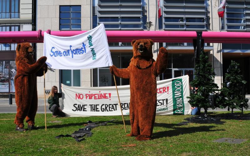 Great Bear Rainforest Aktion Pipeline (Foto: ROBIN WOOD)