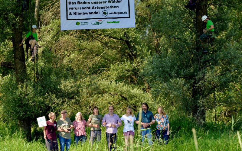 Foto2 für waldreport.de