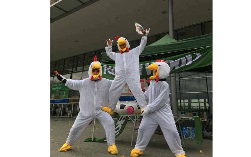 Foto: ROBIN WOOD Foto Hühner 3