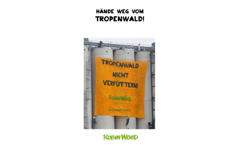 Flyertitel Tropenwald