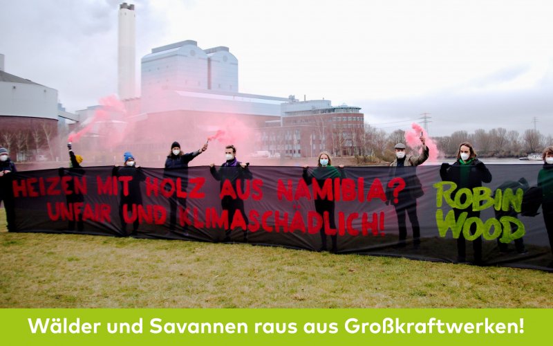 Aktionsfoto gegen Verbrennung von Holz aus Namibia in Hamburg