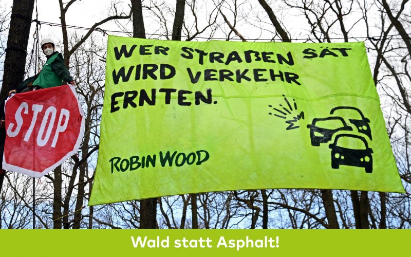 Aktionsfoto Transpi in Bäumen mit Text "Wer Straßen sät, wird Verkehr ernten"