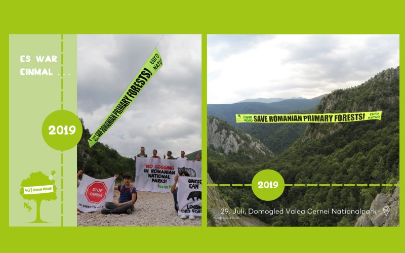 Aktionsfotos Urwaldschutz Rumänien