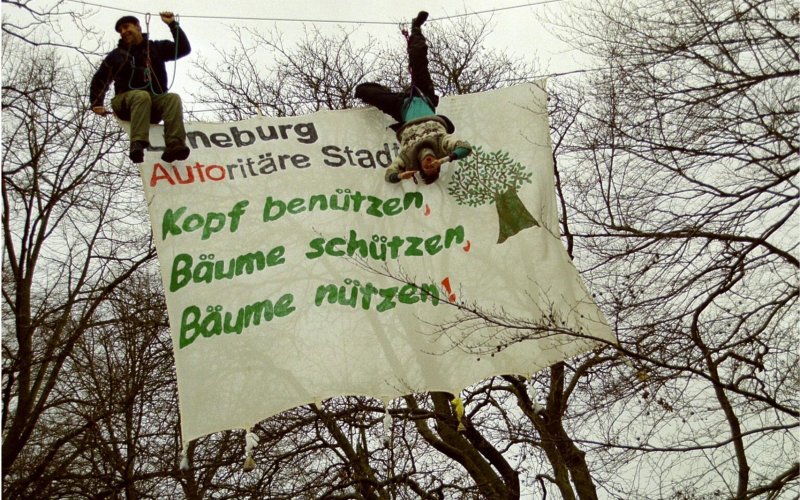Baumbesetzung in Lüneburg mit Transpi "Kopf benützen, Böume schützen, Bäume nützen"