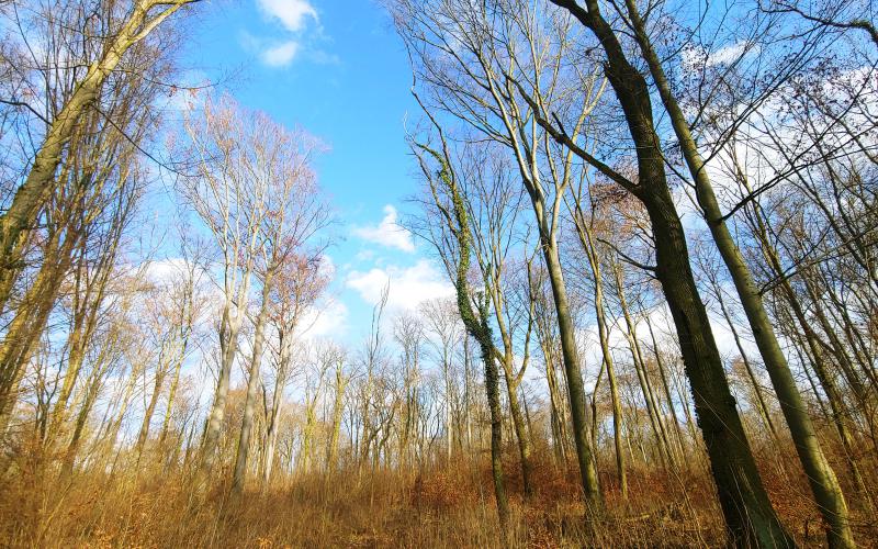 Foto: ROBIN WOOD/Jana Ballenthien