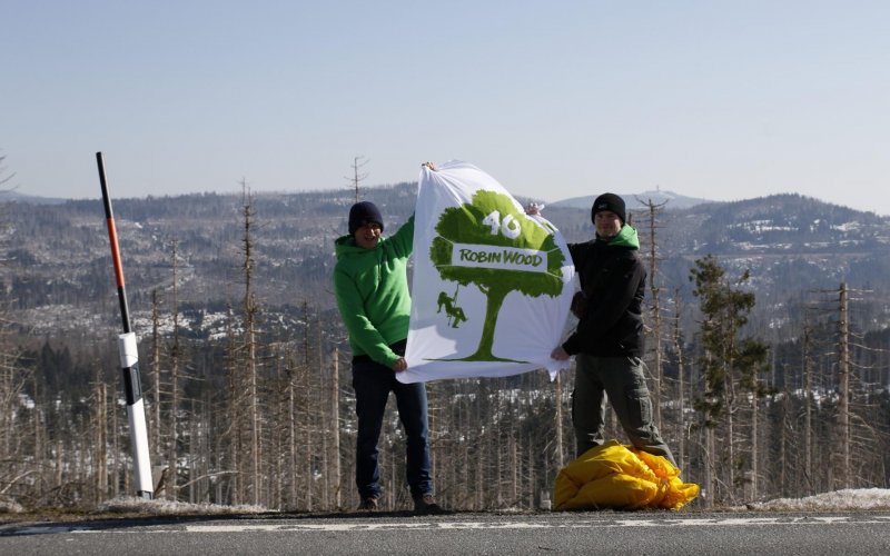 Zwei Menschen halten ein Handbanner. Darauf ein Baum mit Kletterin und der Text "40 ROBIN WOOD"