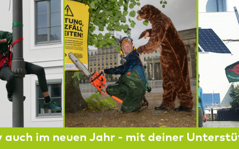Fotocollage mit drei Aktivistis und einem Bären