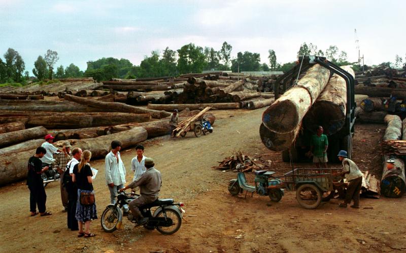 Recherche vor Ort: Holzverladeplatz in Indonesien
