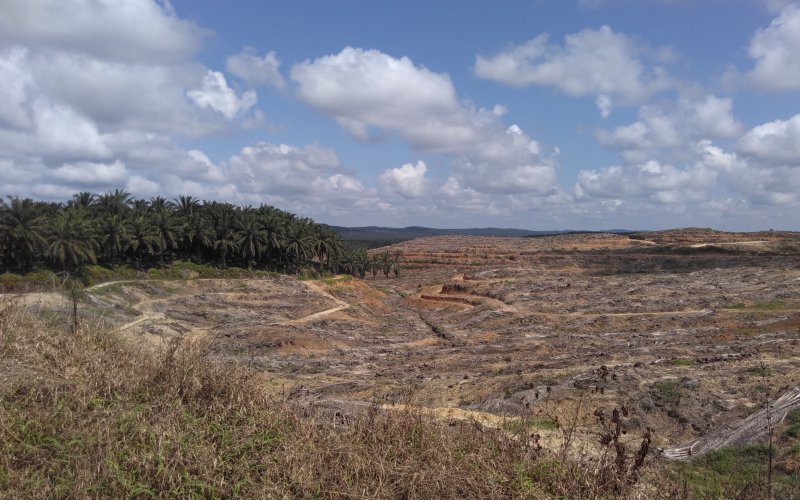 Foto: ROBIN WOOD / Fenna Otten