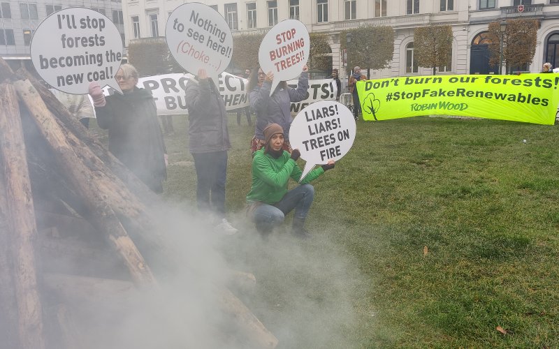 Protestierende mit Schildern gegen die Verbrennung von Holzbiomasse vor dem Europäischen Parlament