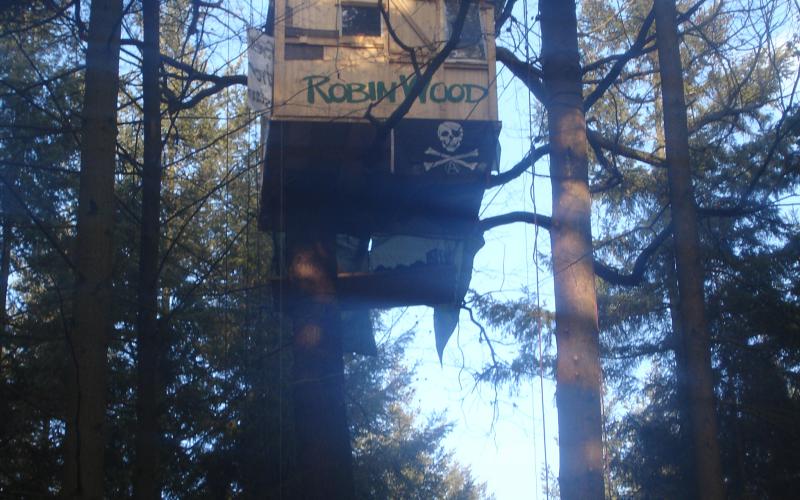 Monika Lege Kelsterbacher Stadtwald Dezember 2008