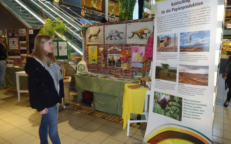 Im Einkaufszentrum Mercado in Hamburg Altona (Foto: Angelika Krumm) Papierausstellung im Einkaufszentrum Mercado in Hamburg Altona