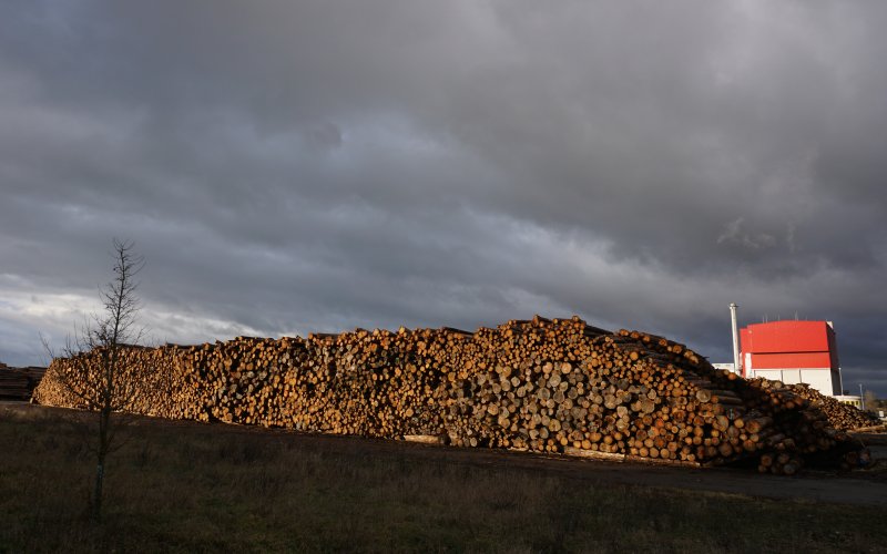 Ein sehr großer Holzpolter
