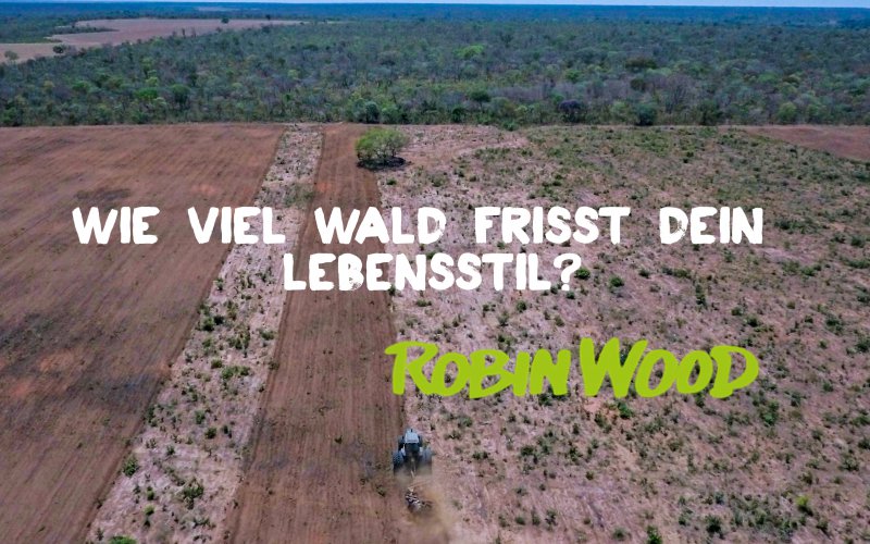 Entwaldungen für Soja in Brasilien