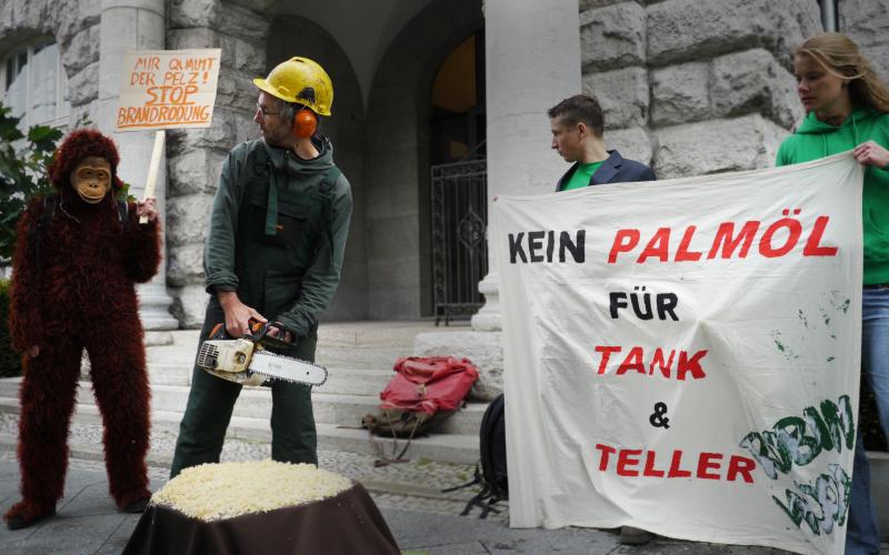 Aktion gegen Palmoel