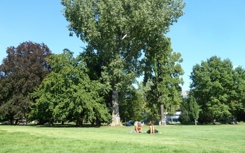 Stuttgarter Schlossgarten im Sommer 2011 