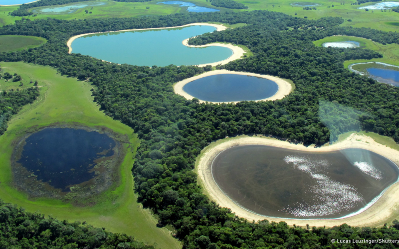 Luftbildaufnahme des Pantanal, Brasilien - größtes Feuchtgebiet der Erde und eines der artenreichsten Biotope