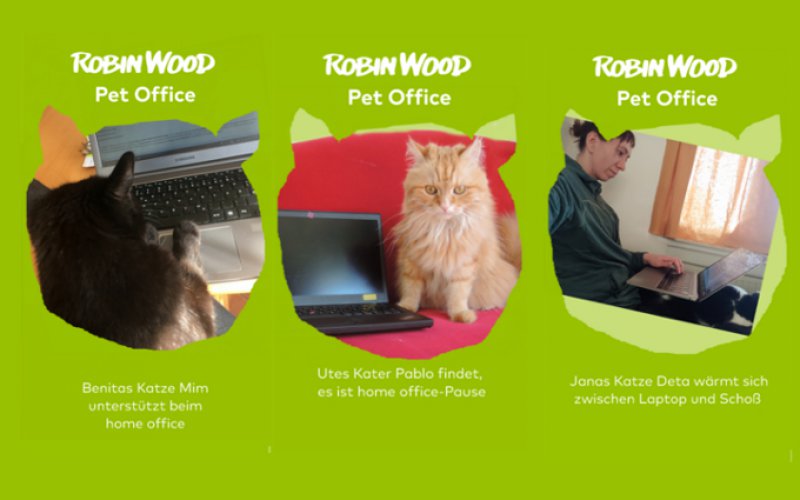 Bilder aus dem Pet Office