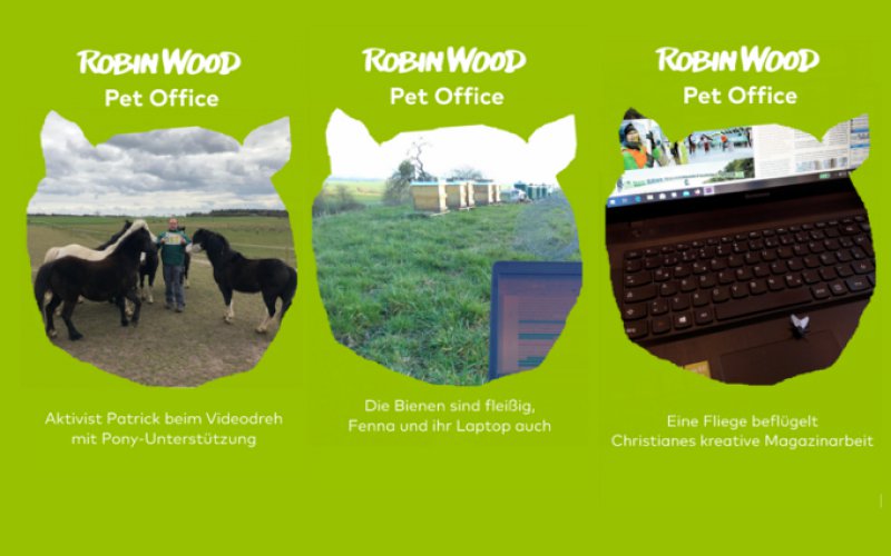 Bilder aus dem Pet Office