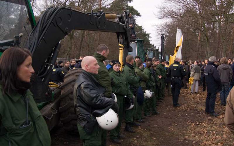 Thomas Piper Kelsterbacher Stadtwald Februar 2009